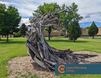 CWC Riverton Campus artwork, wood sculpture resembling an ocean wave.