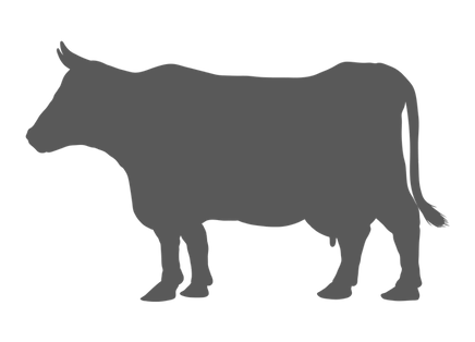 Gray cow graphic