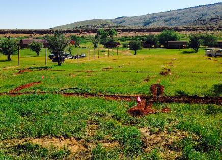 irrigation2