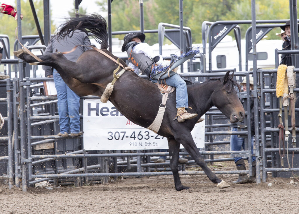Rustler cowboy, Rickey Williams hangs on in the bareback riding
