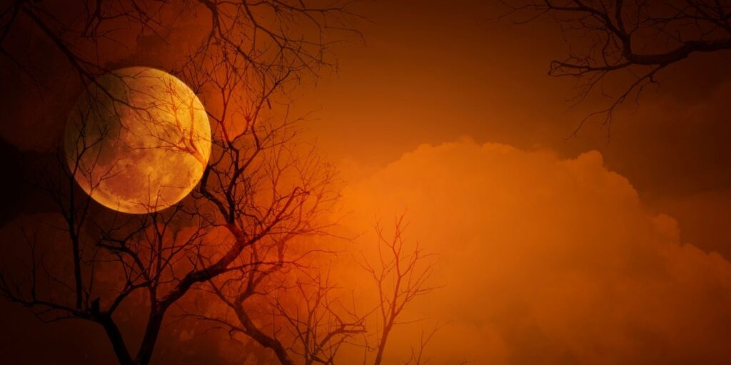 photos of a full moon with dead branches. The photo is an orange color with black branches.