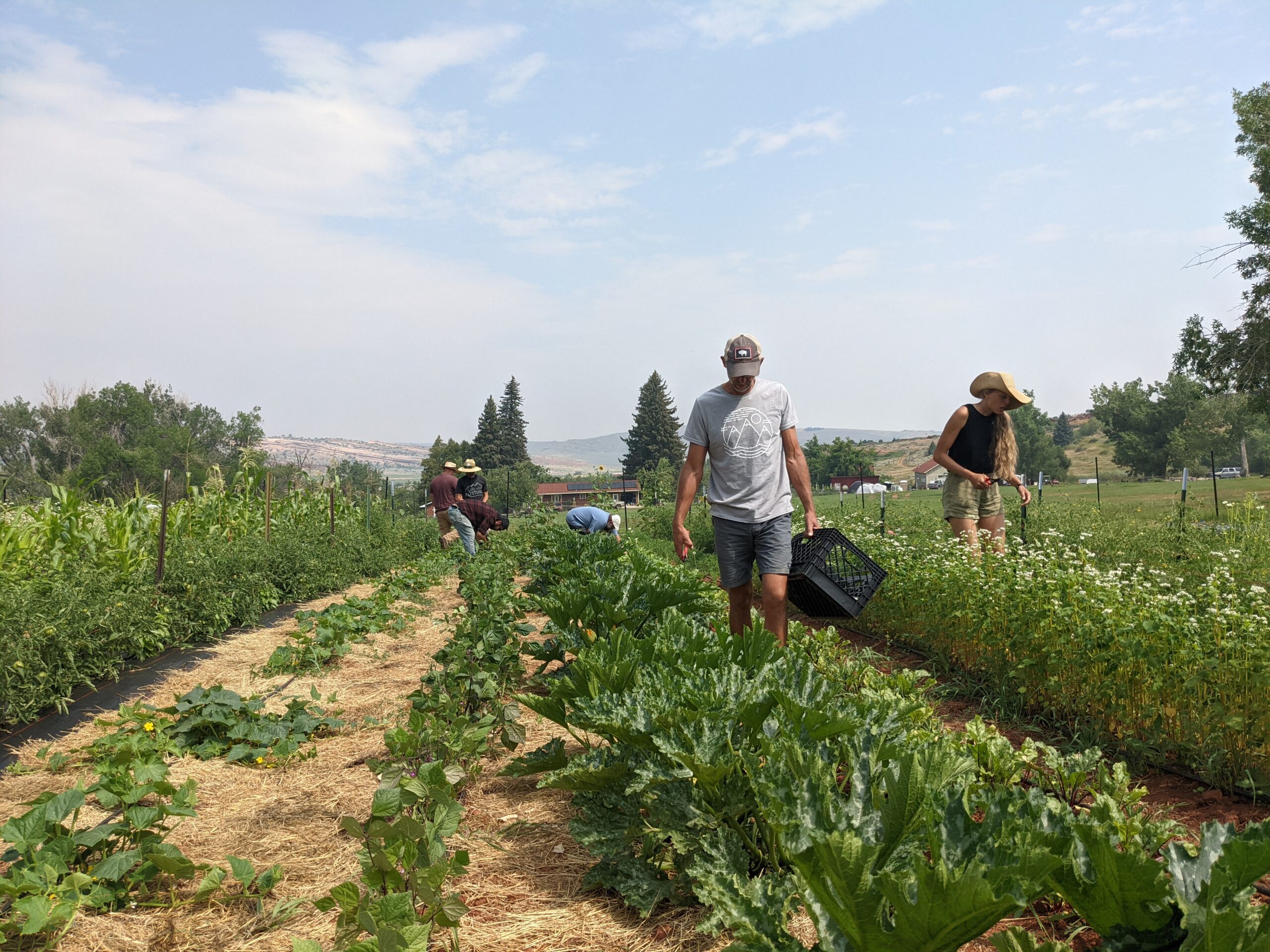 photo of CWC students working in a small scale farm