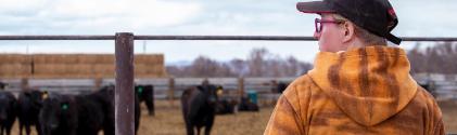 A student looking at cows