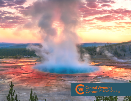 A thermal hot pool in Yellowstone National Park.