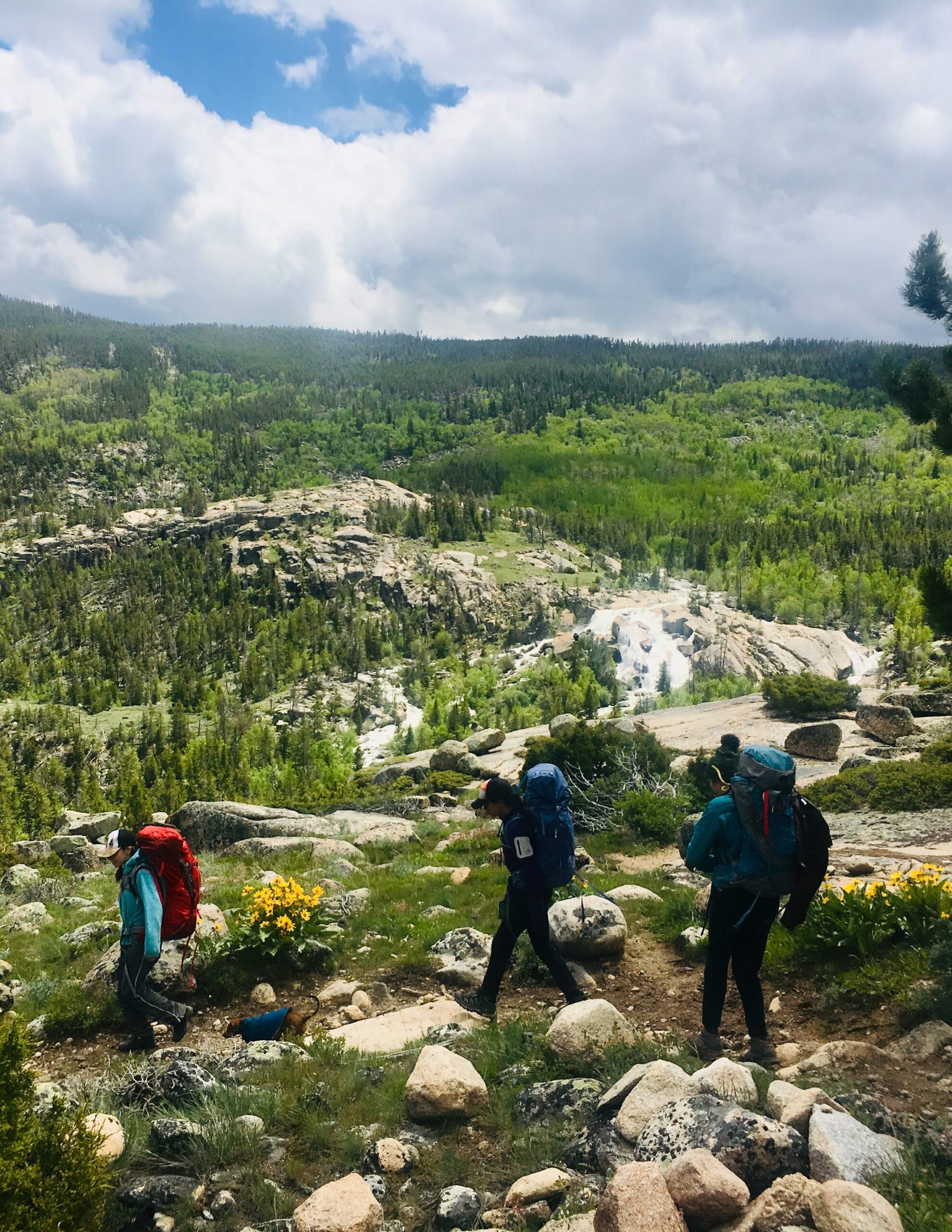 Three students hiking in the forest