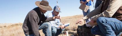 Four people surveying a large field