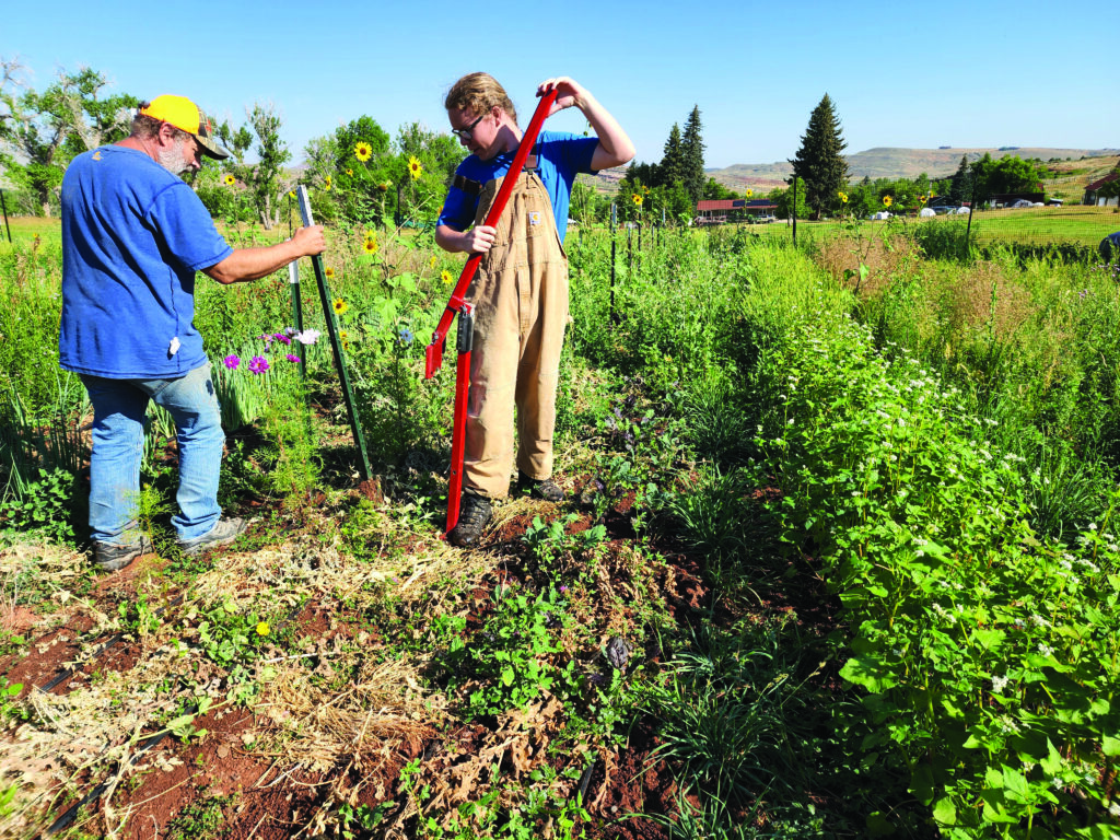 Farmers working on the farm at the Alpine Science Institute