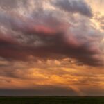Denise Hawkins
Wyoming Summer on the Plains