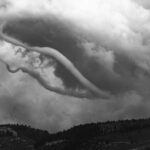 Kirk Shepherd
Twisted Twisters