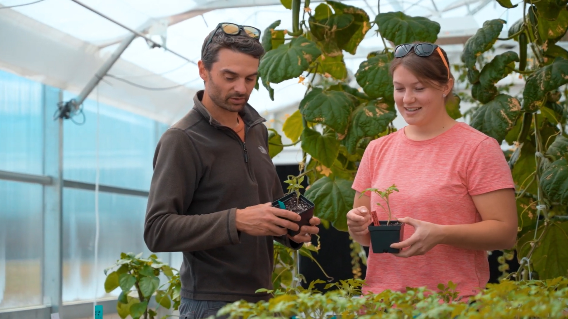 CWC students learning controlled environment agriculture in Wyoming