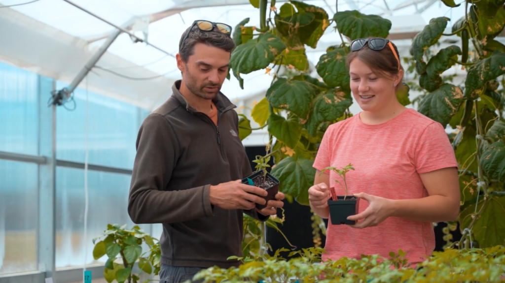 CWC students learning controlled environment agriculture in Wyoming