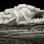 Paradise Valley Thunderhead 2, Larry Bean